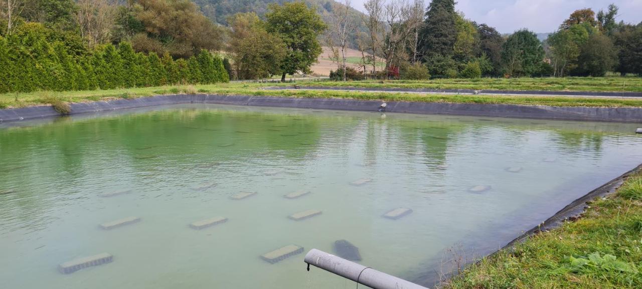 Thonnance-lès-Joinville Le Moulin Aux Ecrevisses Bed & Breakfast エクステリア 写真