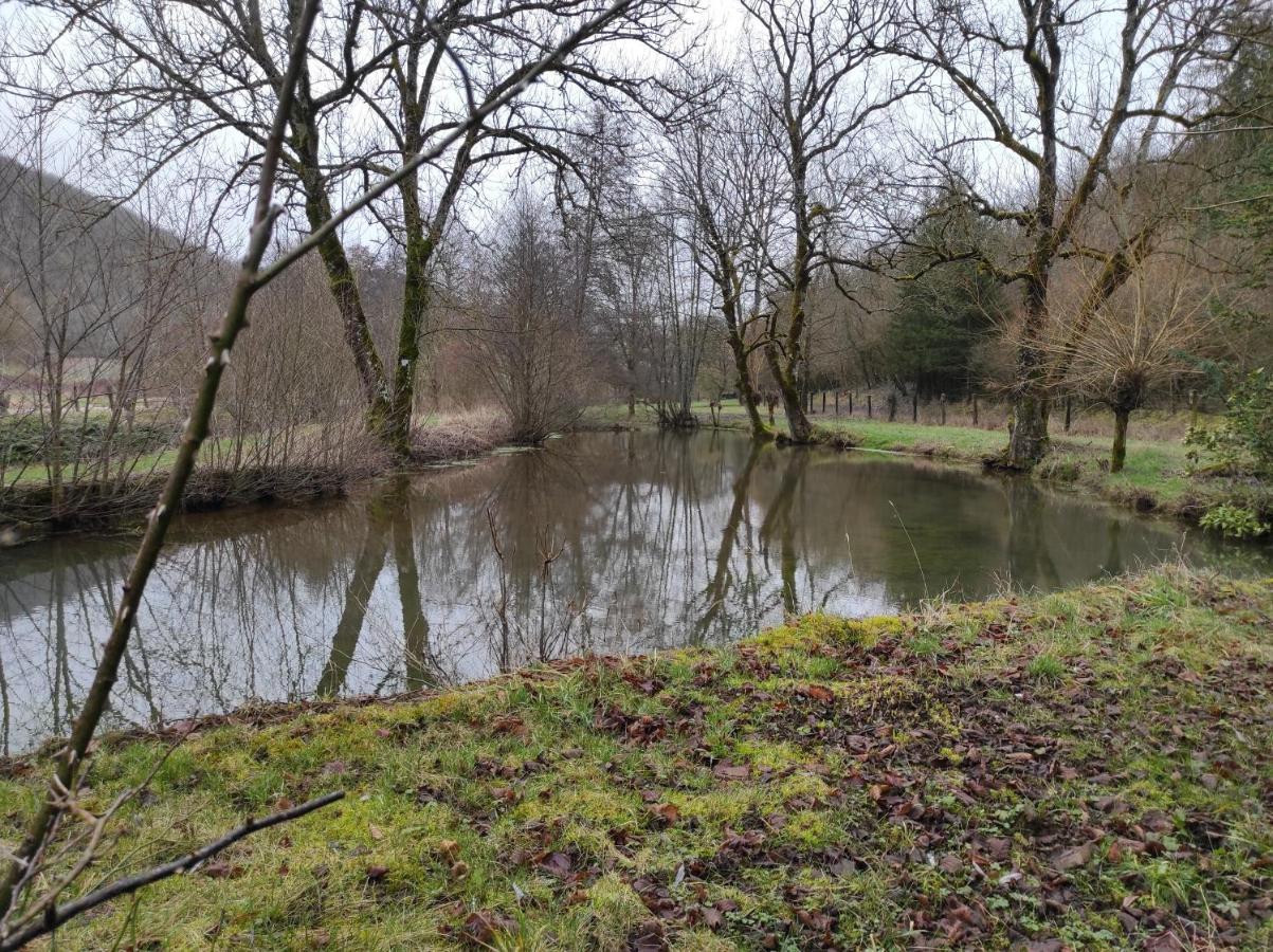 Thonnance-lès-Joinville Le Moulin Aux Ecrevisses Bed & Breakfast エクステリア 写真