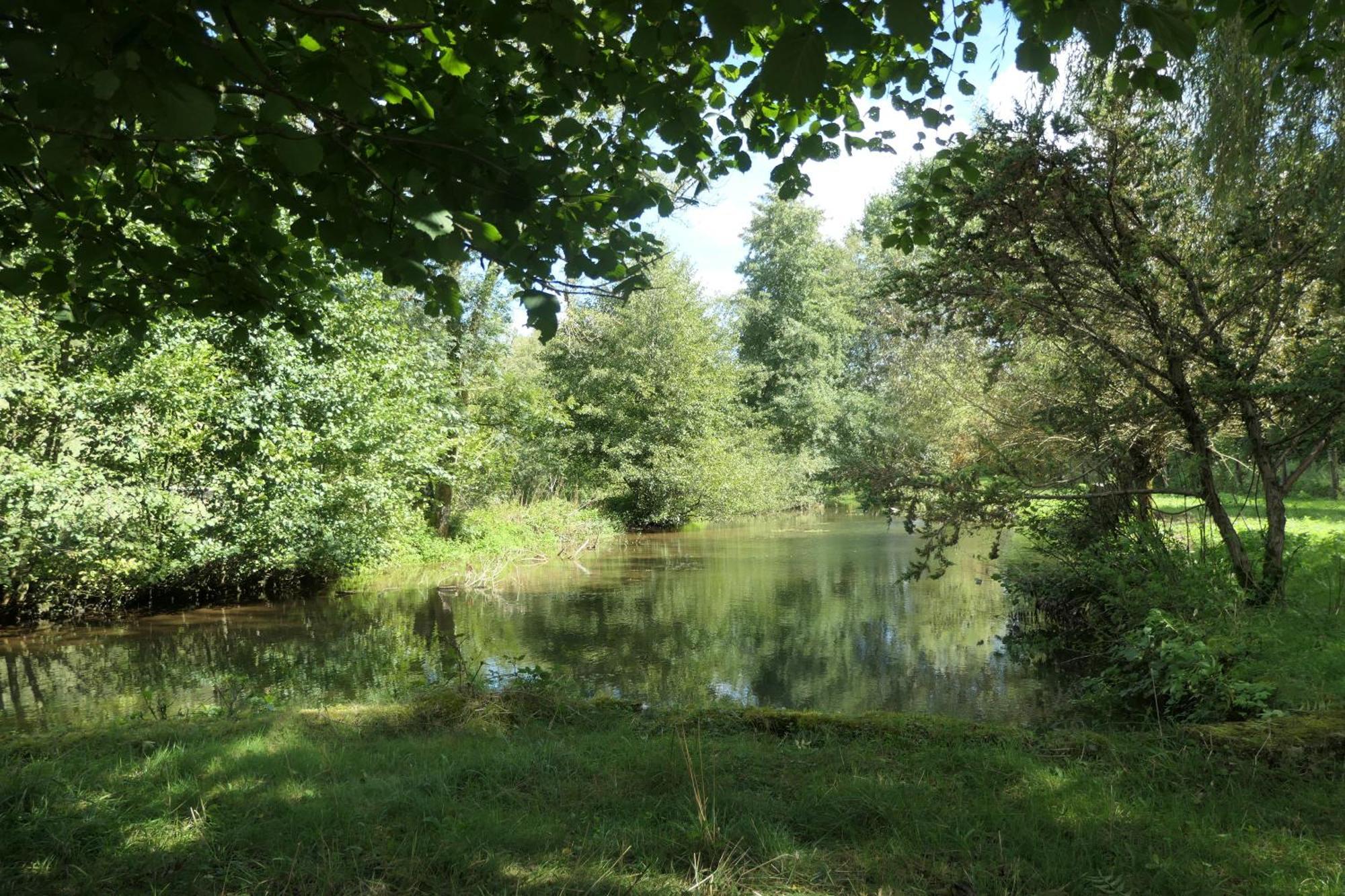 Thonnance-lès-Joinville Le Moulin Aux Ecrevisses Bed & Breakfast エクステリア 写真